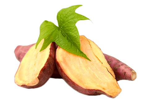 Yacon root in Reduslim